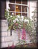 GardnWindow.jpg